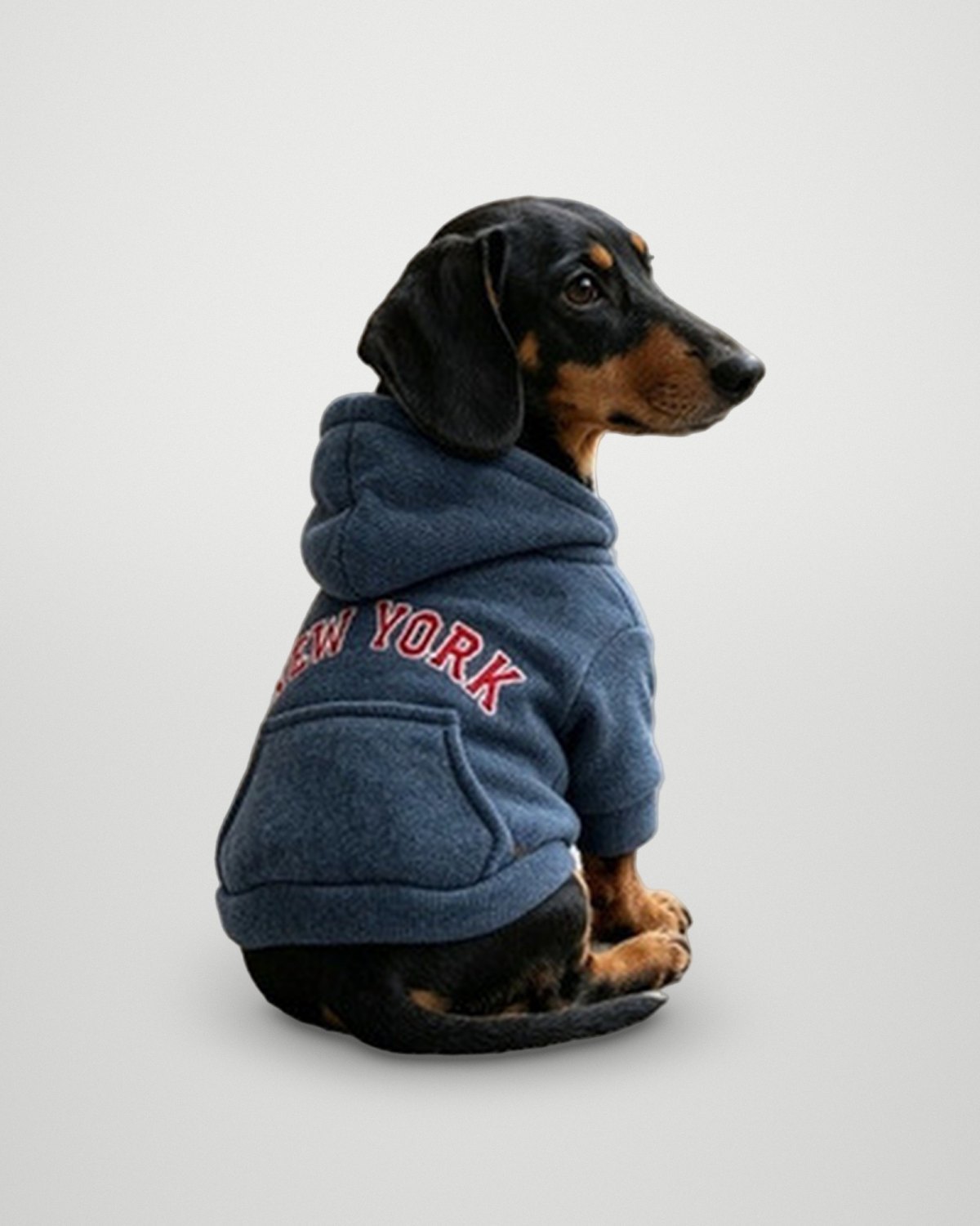 Thick New York Hoodie – Blue