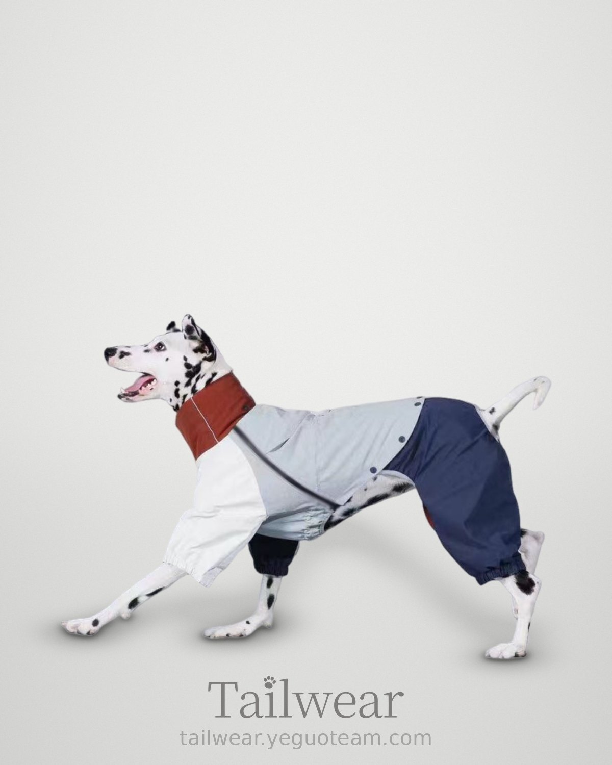 Big Dog Four-Leg Rain Shell – Navy Cream