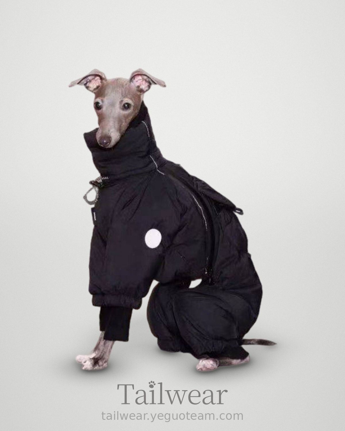 Whippet Padded Turtleneck Suit – Black