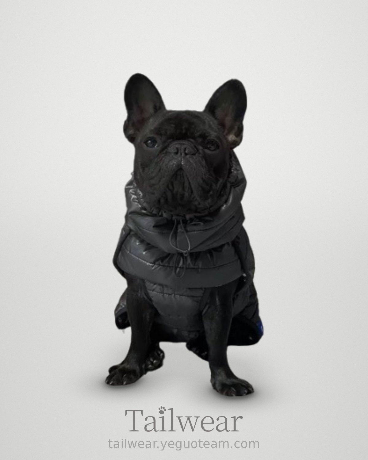 Black Puffer Jacket – Black