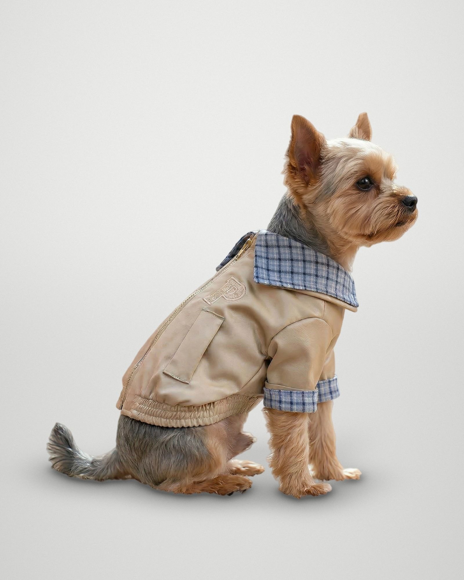 Plaid Collar Zip Jacket – Khaki