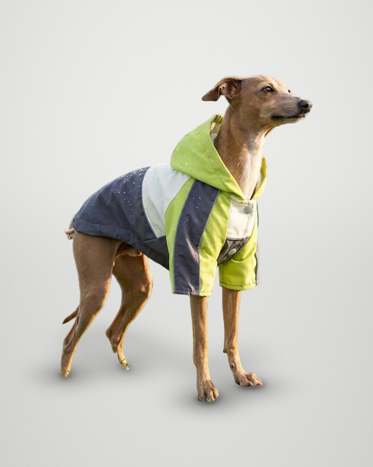 Colour-Block Hooded Windbreaker – Lime