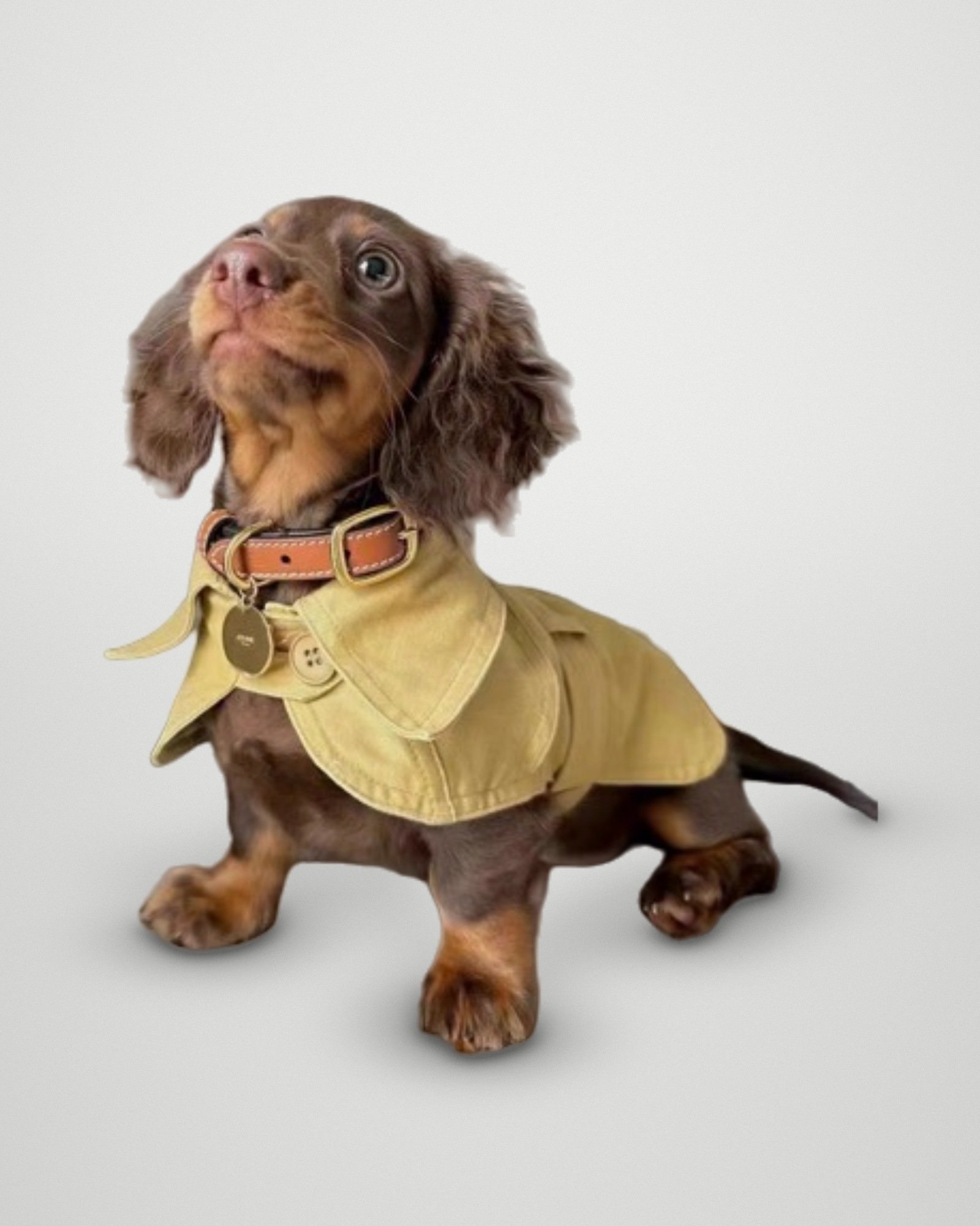 Classic Trench Cape – Khaki