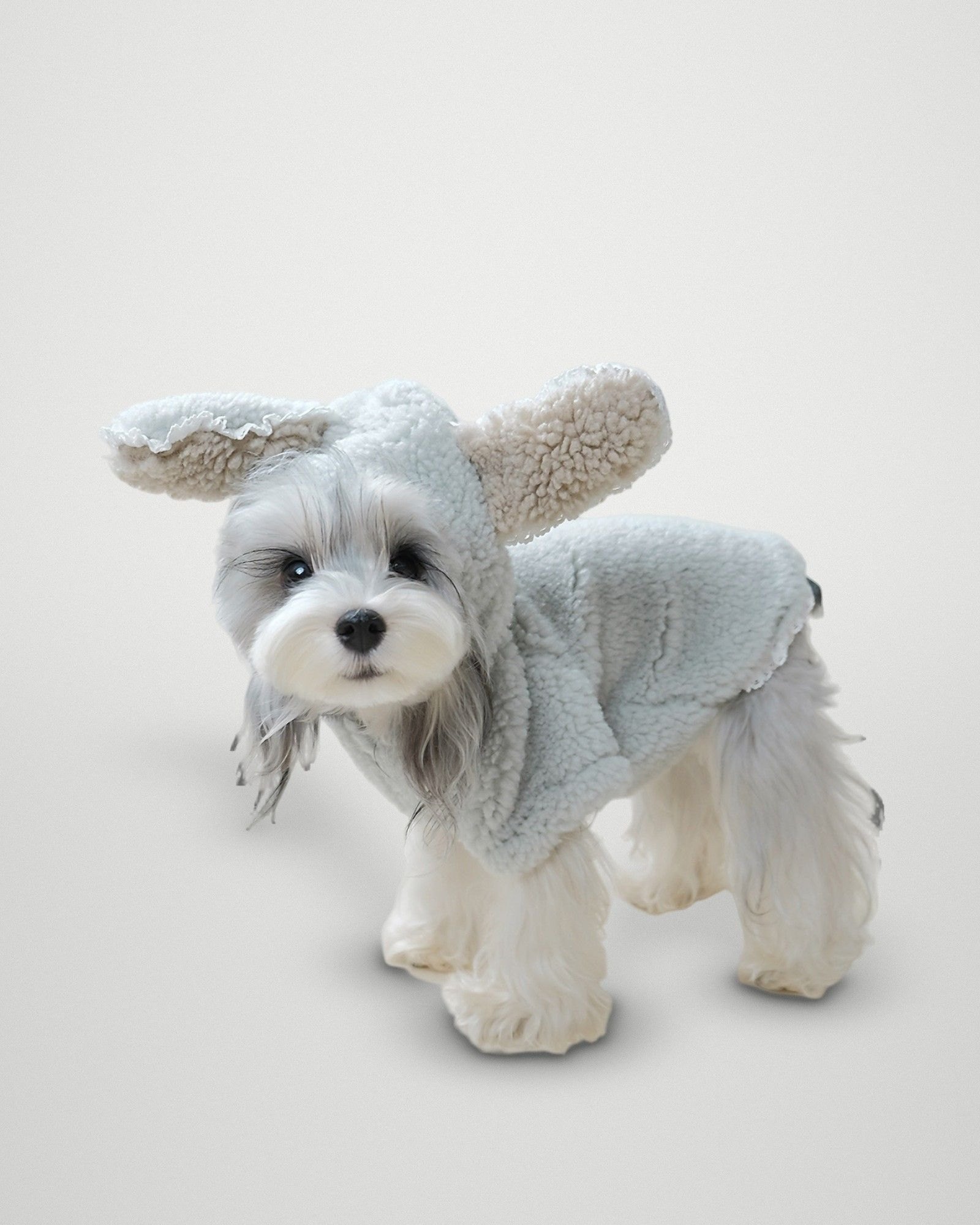 Bunny Ear Teddy Hoodie – Sage