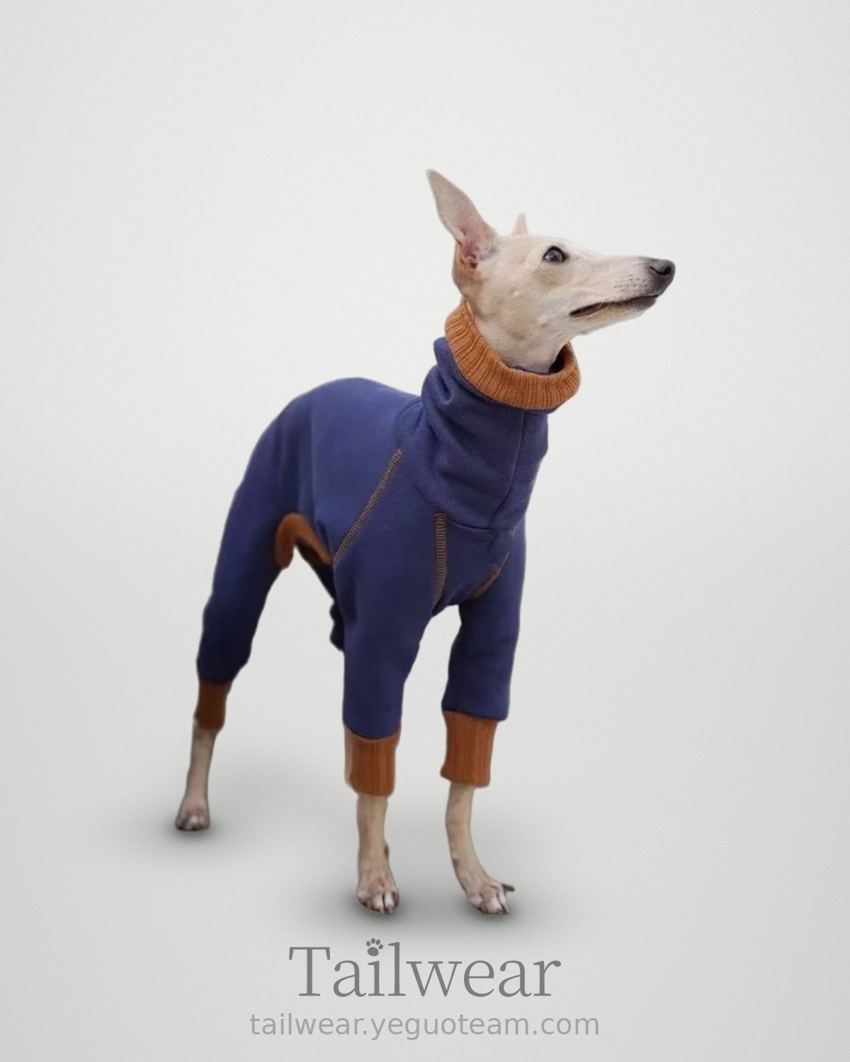 Whippet Fleece Turtleneck Jumpsuit – Blue