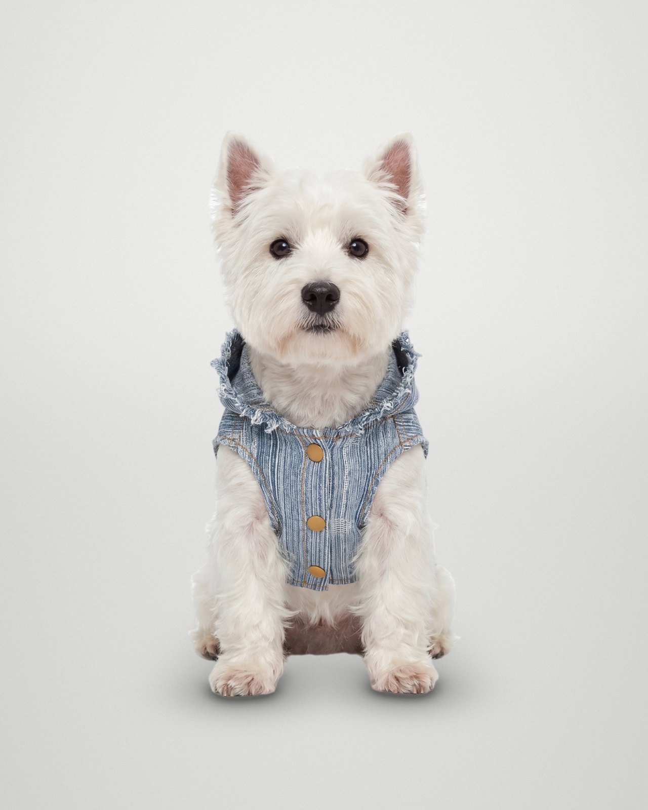 Washed Denim Hooded Vest – Washed Denim
