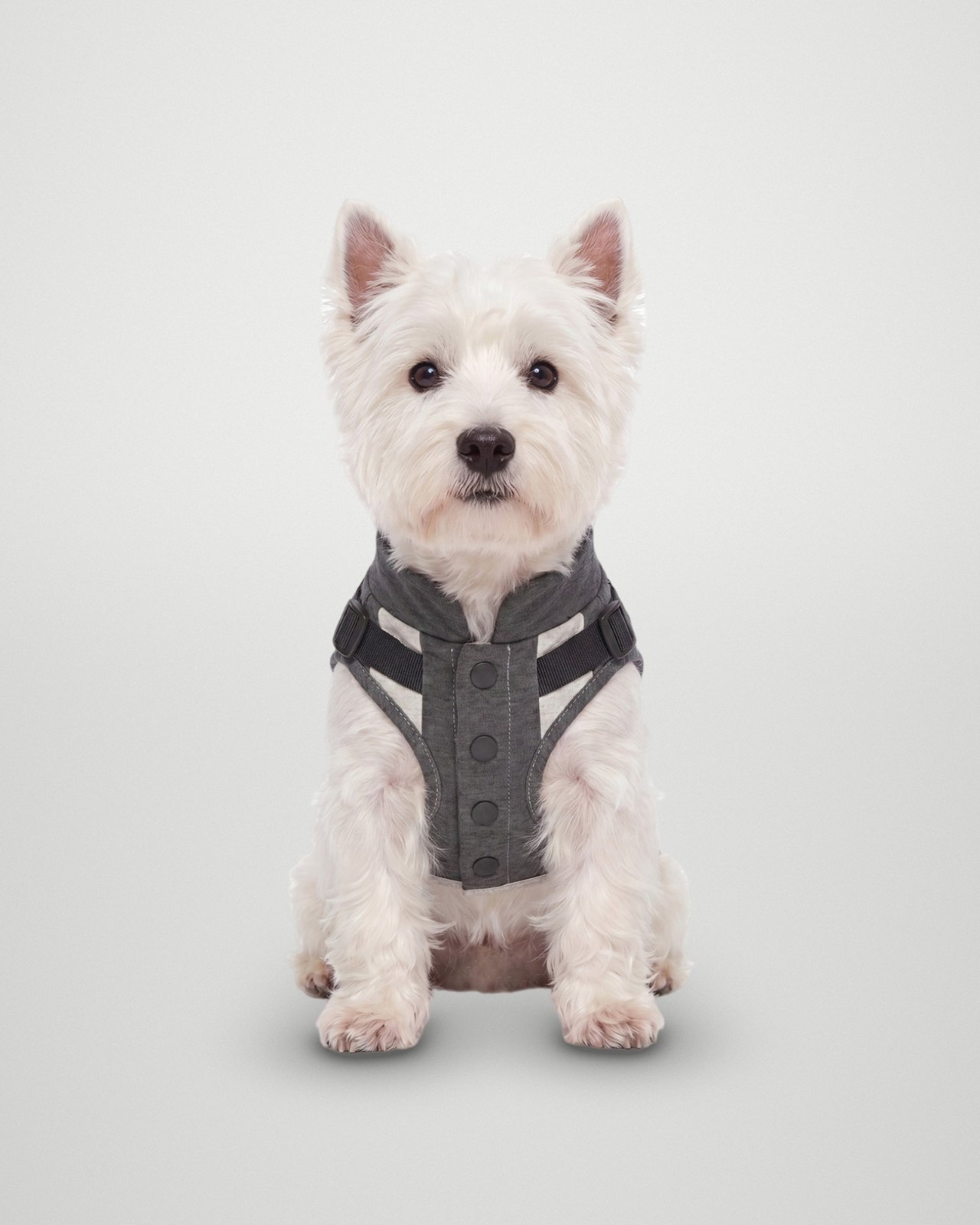 Hi-Neck Harness Utility Vest – Mist Grey
