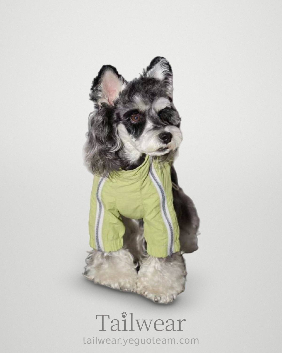 Fleece-Lined Windbreaker Vest – Lime