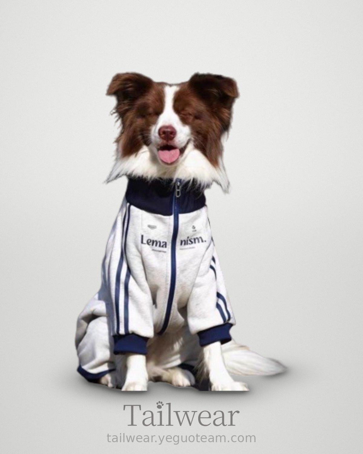 Big Dog Varsity Zip Hoodie – Grey