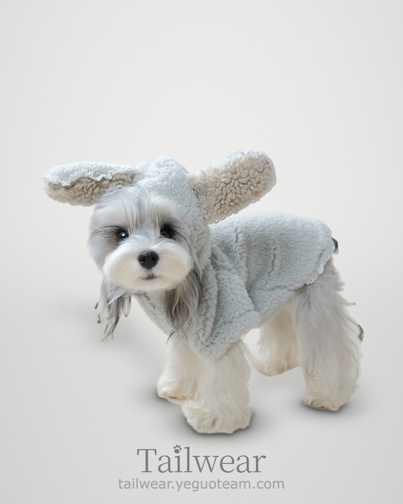 Bunny Ear Teddy Hoodie – Sage