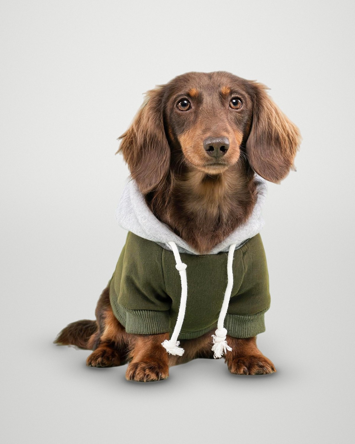 Grey Hood Contrast Hoodie – Army Green