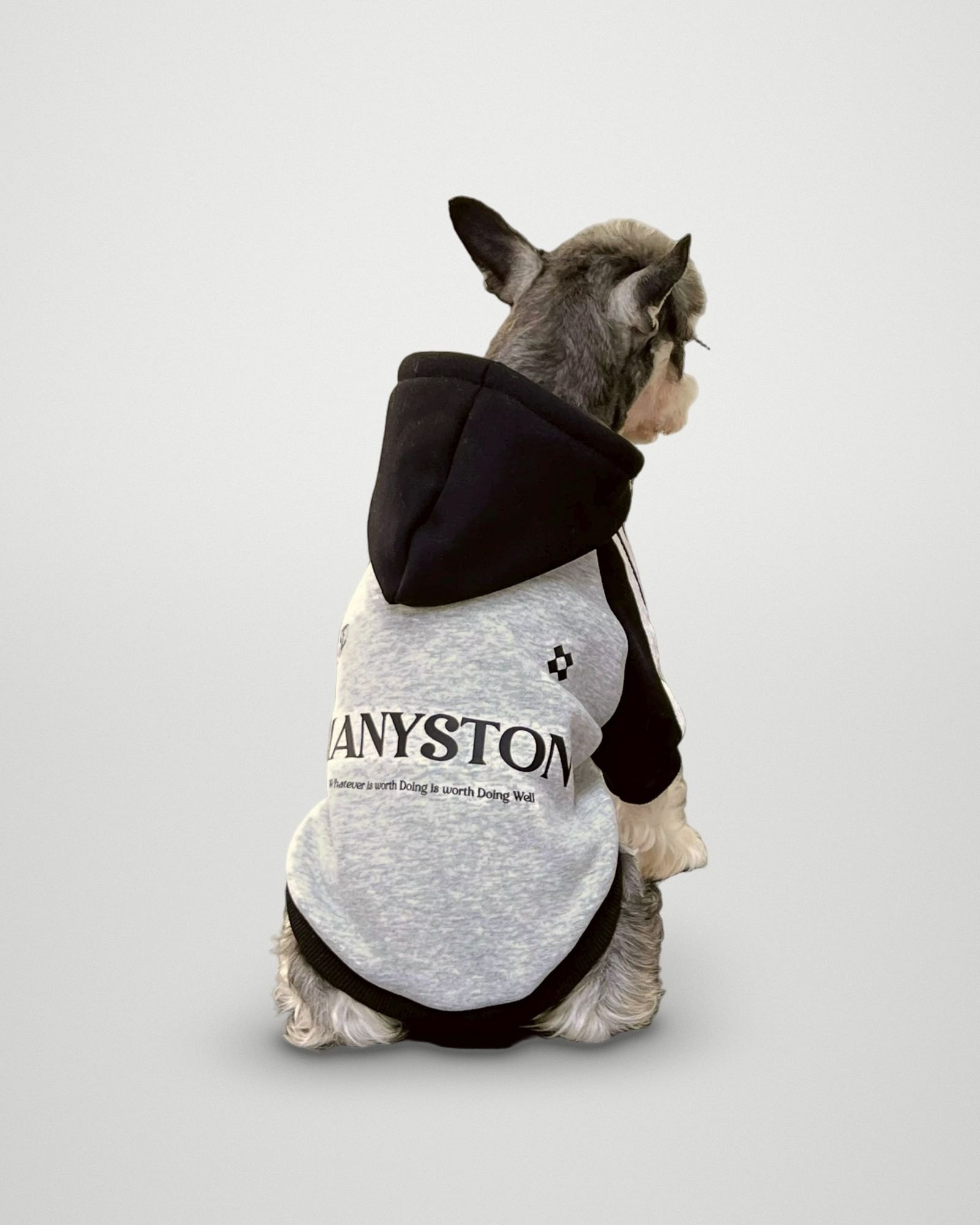 MANYSTON Varsity Stripe Hoodie – Heather Grey