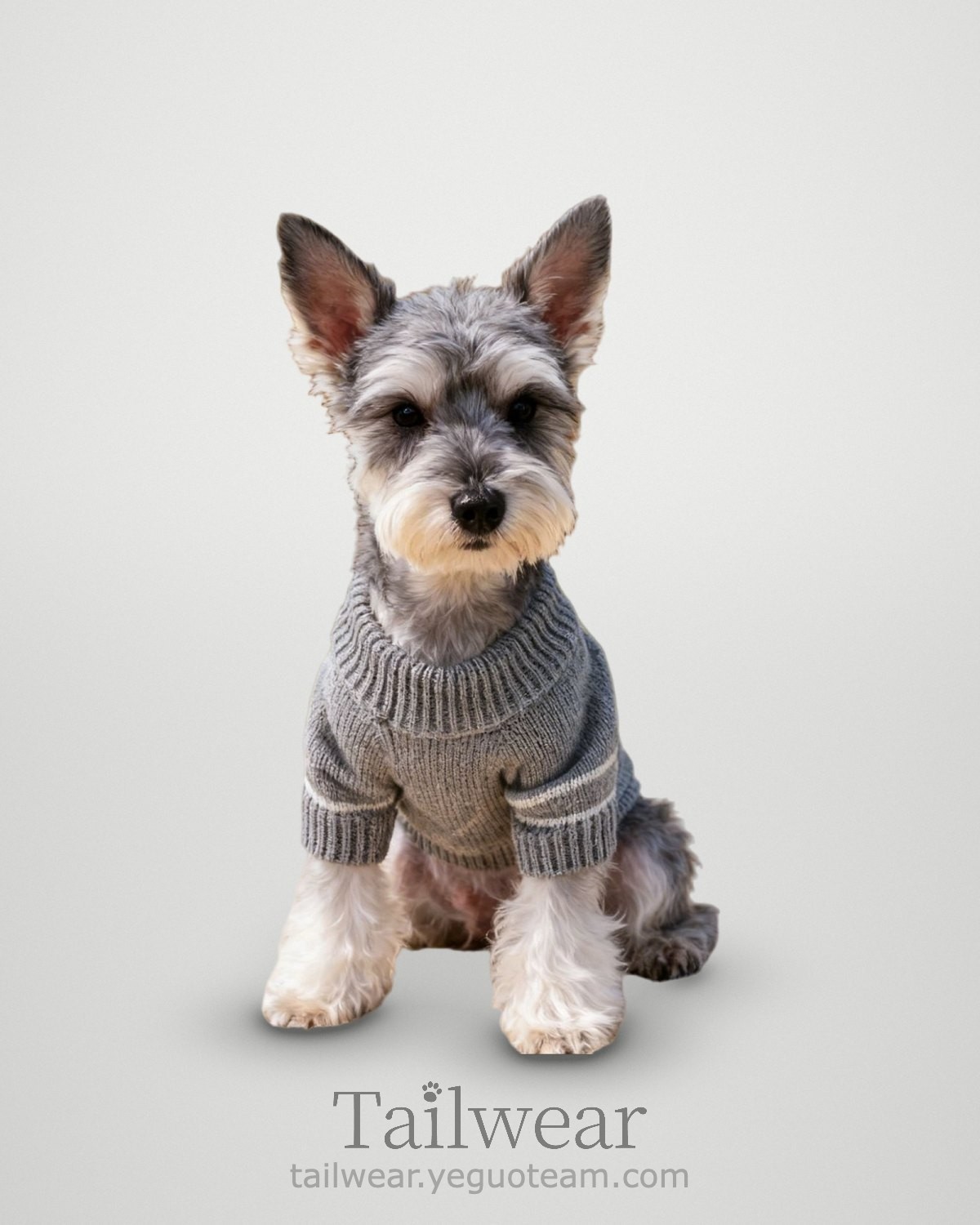 French Stripe Button Sweater – Grey Stripe